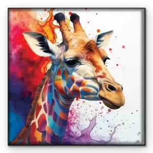 Giraffe Splash